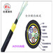 ADSS光缆厂家ADSS-48B1-300非金属光缆