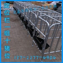 沧州定位栏带食槽的价格母猪定位栏一组多少钱