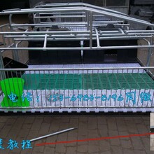 通江县母猪产保一体分娩床价格母猪产床规格