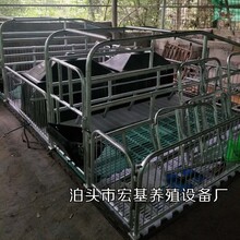 重庆市母猪产床价格养猪设备母猪双体产床安装