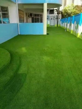 室外綠色草坪