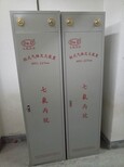 广西柳州市柜式七氟丙烷灭火装置生产厂家图片0