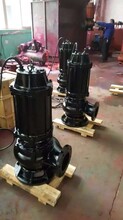 WQ/QW排污泵污水泵JYWQ排污泵