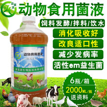 为什么牛打完疫苗会出现应激反应图片