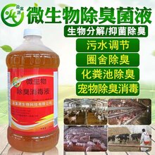 如何预防新城疫疾病图片