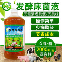 发酵床能解决鸡圈粪便的臭味吗图片
