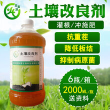 芹菜种植中出现的各种问题应该怎么办?图片