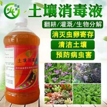 芹菜怎么种植才能长的好图片