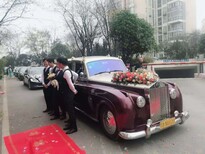 武汉结婚租车豪华婚车租赁租奔驰宝马劳斯莱斯宾利等豪车就到大唐朝租车图片0