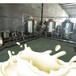  Milk, goat milk, camel milk equipment - small yak milk production line - pasteurizer