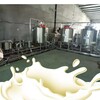 牛奶羊奶骆驼奶设备-小型牦牛奶生产线-巴氏奶杀菌机