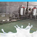 鲜奶吧设备牛奶加工机器价格鲜奶杀菌生产线