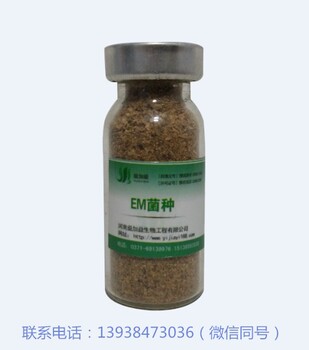 甘肅有沒有益加益em菌種的代銷點(diǎn)