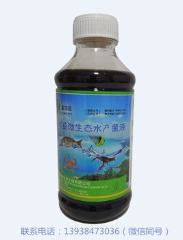 怎么用雞糞發(fā)酵劑發(fā)酵了喂魚