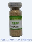 佳木斯种植水稻em菌种使用方法