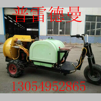 手扶園林打藥機手扶柴油果樹打藥機批發(fā)定制