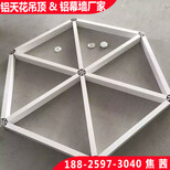 佛山厂家生产铝格栅150150的正方形格子图片4