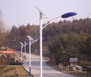 新农村改造7米单臂路灯安装节能灯安装