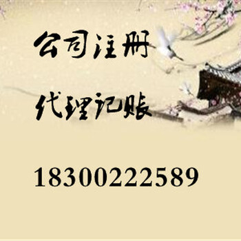 代理出具验资、审计、税务鉴定报告