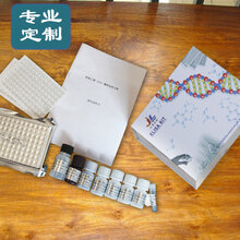 去氨加压素/1去氨基8右旋精氨酸加压素ELISA酶免试剂盒实验科研认可品牌图片