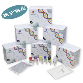 MCP-1试剂盒，单核细胞趋化蛋白-1试剂盒一步法检测