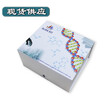 NMDAR试剂盒，N甲基D天冬氨酸受体试剂盒促销开学季图片