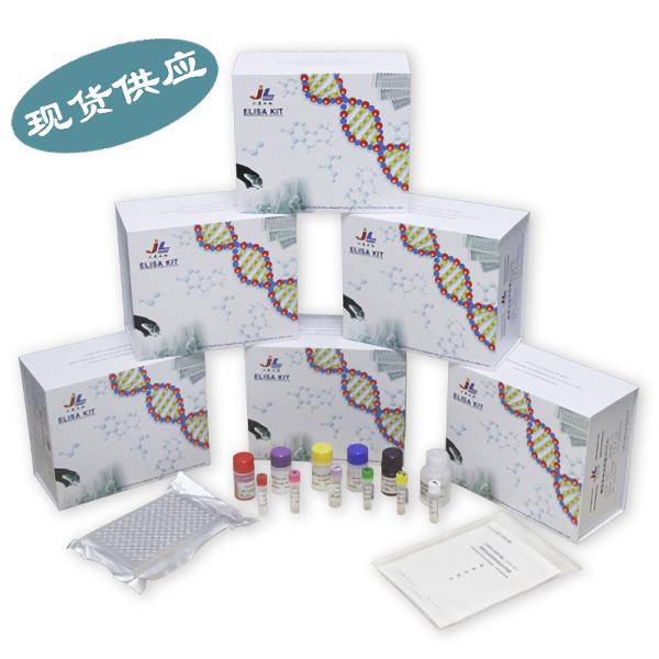 江莱生物 IL18R1酶免分析试剂盒服务供应