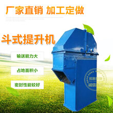 th型斗式提升机环链式斗式提升机图片