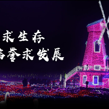 戶外夢(mèng)幻燈光秀出售工廠價(jià)格