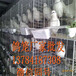 鸽子笼厂家批发1三层鸽笼2四层鸽笼3鸽子养殖笼规格