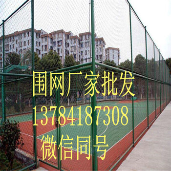 學(xué)校用的體育場(chǎng)圍欄網(wǎng)廠家批發(fā)/飛創(chuàng)金屬絲網(wǎng)廠