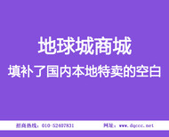 2017在北京地球城商城本地特卖网预见的本地特卖制造商图片4