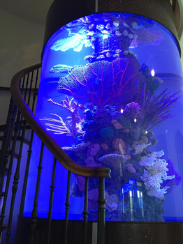 極美魚缸