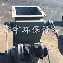 泊头市泽宇环保专业生产双层重锤翻板阀图片