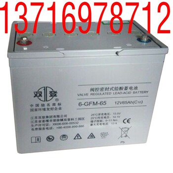 双登蓄电池6GFM6512V65AH免维护医疗通讯太阳能USP电瓶