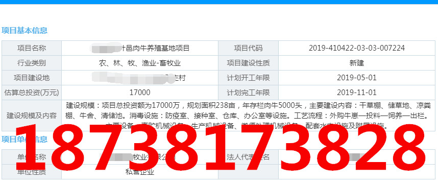 合成橡胶化学改性技术开发与应用可行性报告代写