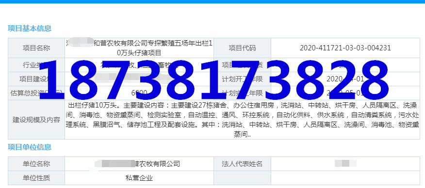 项目实施方案-代写生产型项目可行性报告