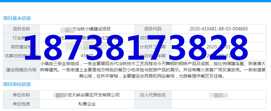 项目实施方案-代写城市基础设施可行性报告的公司