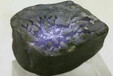 JF294精品缅甸翡翠原石会卡场口开窗冰紫赌石，种老肉细，见光不死，不变种