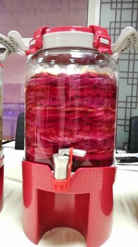 16斤裝酵素瓶玻璃密封罐泡酒瓶子泡菜廚房家用腌制儲(chǔ)釀器阿波羅