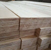 優質定尺楊木多層板木方LVL木方