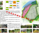 焦作沁阳县现代农业规划景观设计专业公司图片