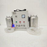 厂家直供水箱自洁消毒器WTS-2A（一控二）包邮图片1