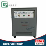 三相干式变压器60kva315V转400V三相升压变压器图片0