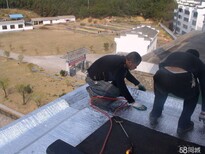 汊河管道疏通市政管道清洗清淤化粪池清理抽粪屋面防水图片5