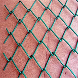 厂家定制体育球场防护勾花网镀锌铁丝菱形勾花网绿色围栏勾花网图片0