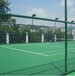 东营学校体育场围网,羽毛球场围网