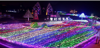 梦幻灯光节厂家灯光节造型出租租赁服务全国地区灯光节图片3