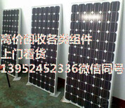 300w太阳能电池板图片2