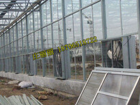 供应北京市大兴区2000平方花卉大棚工程建设图片1